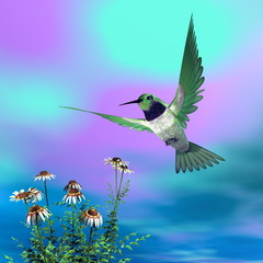 Black-chinned hummingbird - 3D render