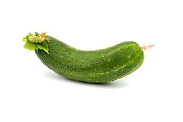 green cucumber