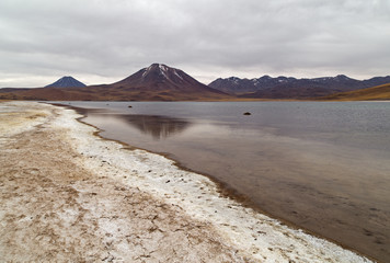 Laguna Miscanti - désert de Atacama