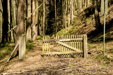 Sandsteinschlucht