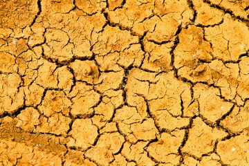 Cracked earth