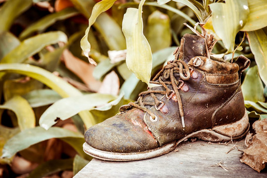 ornamental plants on old shoes, image of vintage style