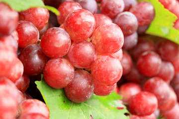 Fresh grapes