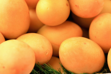 Marian plum fruit - asia fruit