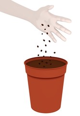 Sowing Seeds