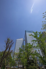 Fototapeta na wymiar 東京晴海の高層オフィスビル