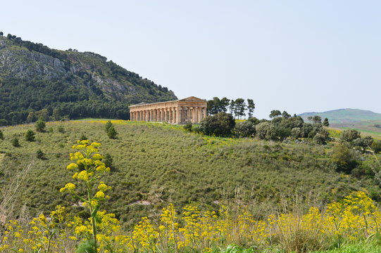 Temple de S&eacute;geste - Sicile