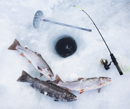 Ice fishing hole, fishing rods and trout