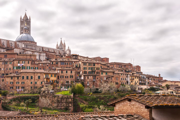 Naklejka na ściany i meble Panorama of the historic city of Siena - Italy