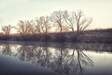 Trees are reflected in water early in morning in spring.
