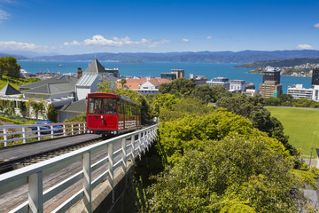 View of the Wellington, New Zealand © Curioso.Photography