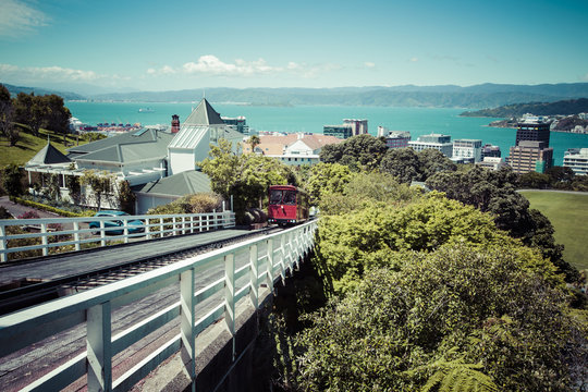 View of the Wellington, New Zealand