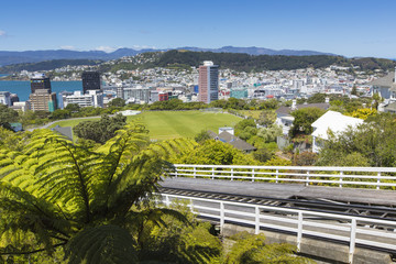 View of the Wellington, New Zealand © Curioso.Photography