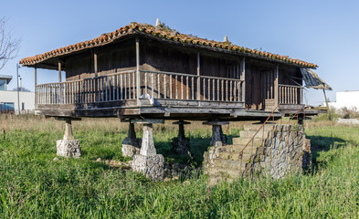 Fototapeta na wymiar Horreo , Granary, typical Galician house
