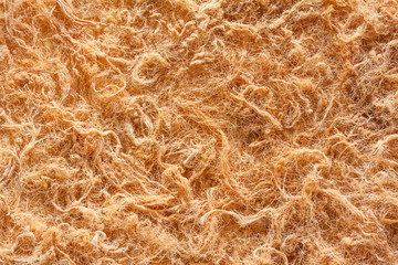 Dried shredded pork