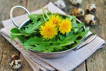 dandelion leaves and quail eggs for vegetarian salads