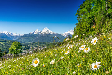 Summer landscape in the Alps with flower meadows