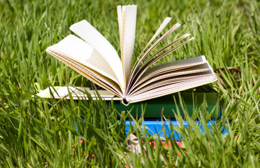 Summer spring backgound with stack of books and open book and bo