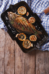 Grilled carp with lemon in a pan , vertical top view closeup