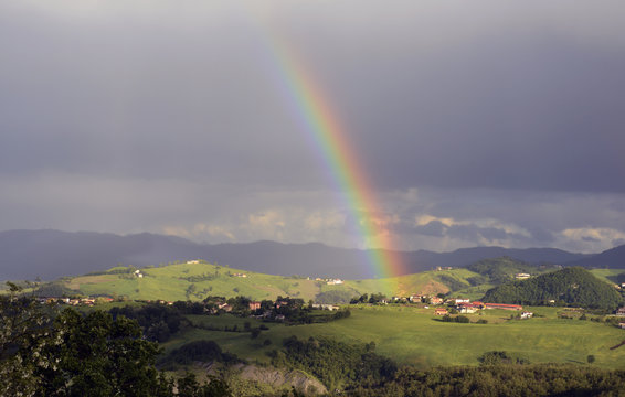 Rainbow above summer field