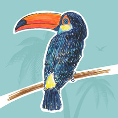 Toucan drawn marker