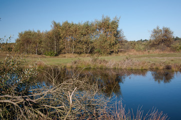 Duingebied mat plas