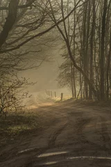 Foto auf Leinwand Morgen auf der Veluwe Heide 2 © fotoroodpad