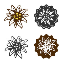 edelweiss flower symbol alpinism alps germany logo