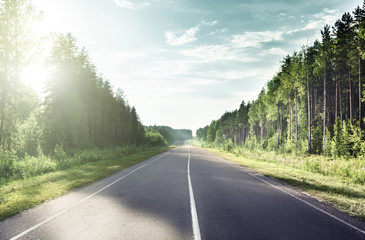road in sunny forest