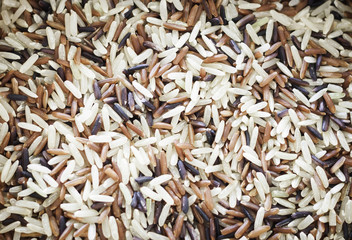 Organic Dry Multi Grain Rice background