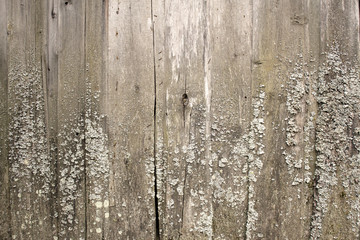 Fototapeta premium Vintage wooden background