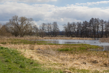 River Naab in Spring