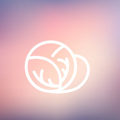 Cabbage thin line icon