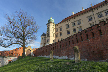 Kraków - Zamek na Wawelu