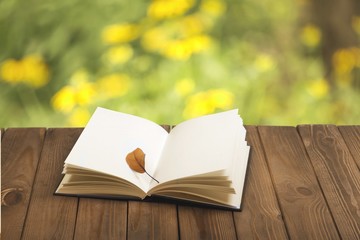 Outdoor. Open book on wood planks over outdoor natural