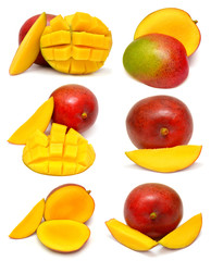 Collection of mango