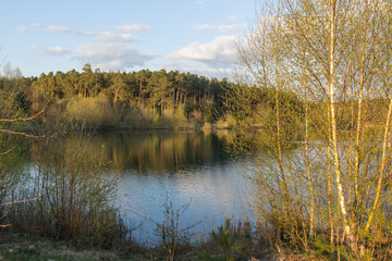Fototapeta na wymiar lake in spring
