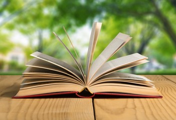 Book. Open book on wood planks over abstract light background