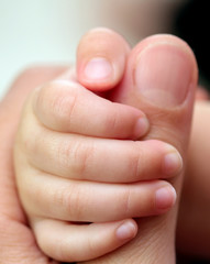 Baby is holding his mother's finger