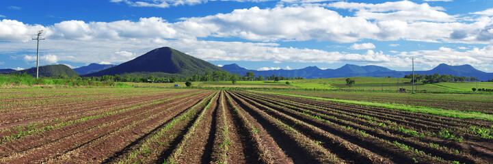 Fototapeta na wymiar Outback agricultural and farming field.