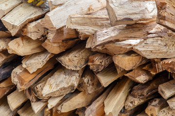 Cracks of wood closeup detail