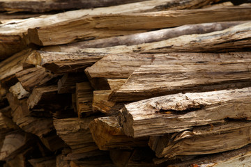 Cracks of wood closeup detail