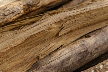 Cracks of wood closeup detail
