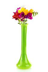 Beautiful spring flowers isolated on white