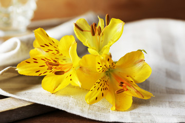 Fototapeta na wymiar Beautiful spring flowers on wooden table with napkin, closeup
