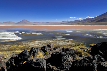 アルティプラーノ平原のラグーナ・コロラダ湖