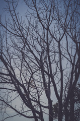 Autumn beauty texture.