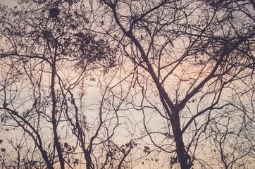 Autumn beauty texture.