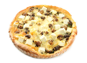 Cheese pie with mushrooms, herbs and sour creme, isolated on white