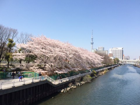 Tokyo Skytree